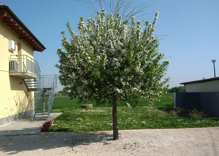 Sant' Eurosia Bed & Breakfast Bologna