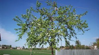 ベッド・アンド・ブレックファスト Sant' Eurosia ボローニャ