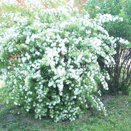 ベッド・アンド・ブレックファスト Sant' Eurosia *