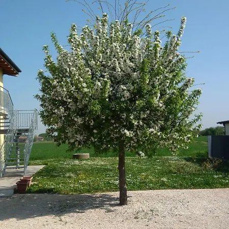 Sant' Eurosia Oda ve Kahvaltı Bolonya