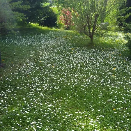 Oda ve Kahvaltı Sant' Eurosia Bolonya