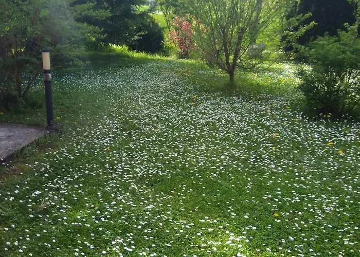 فندق مبيت وإفطار Sant' Eurosia بولونيا