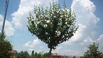 Panzió Sant' Eurosia Bologna