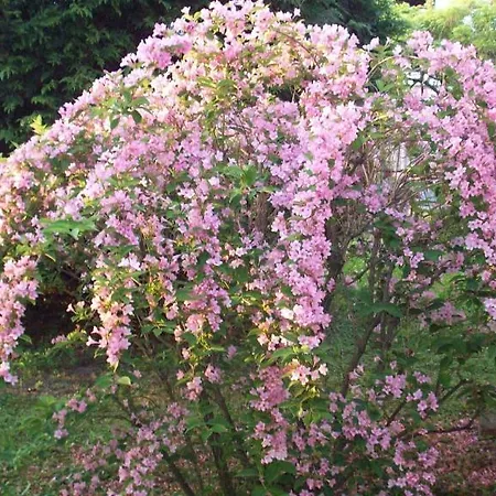 Panzió Sant' Eurosia