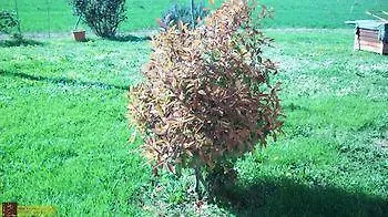 Bed & Breakfast Sant' Eurosia