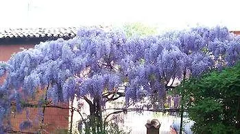 Bed & Breakfast Sant' Eurosia *