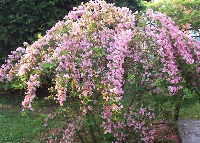 Bed & Breakfast Sant' Eurosia